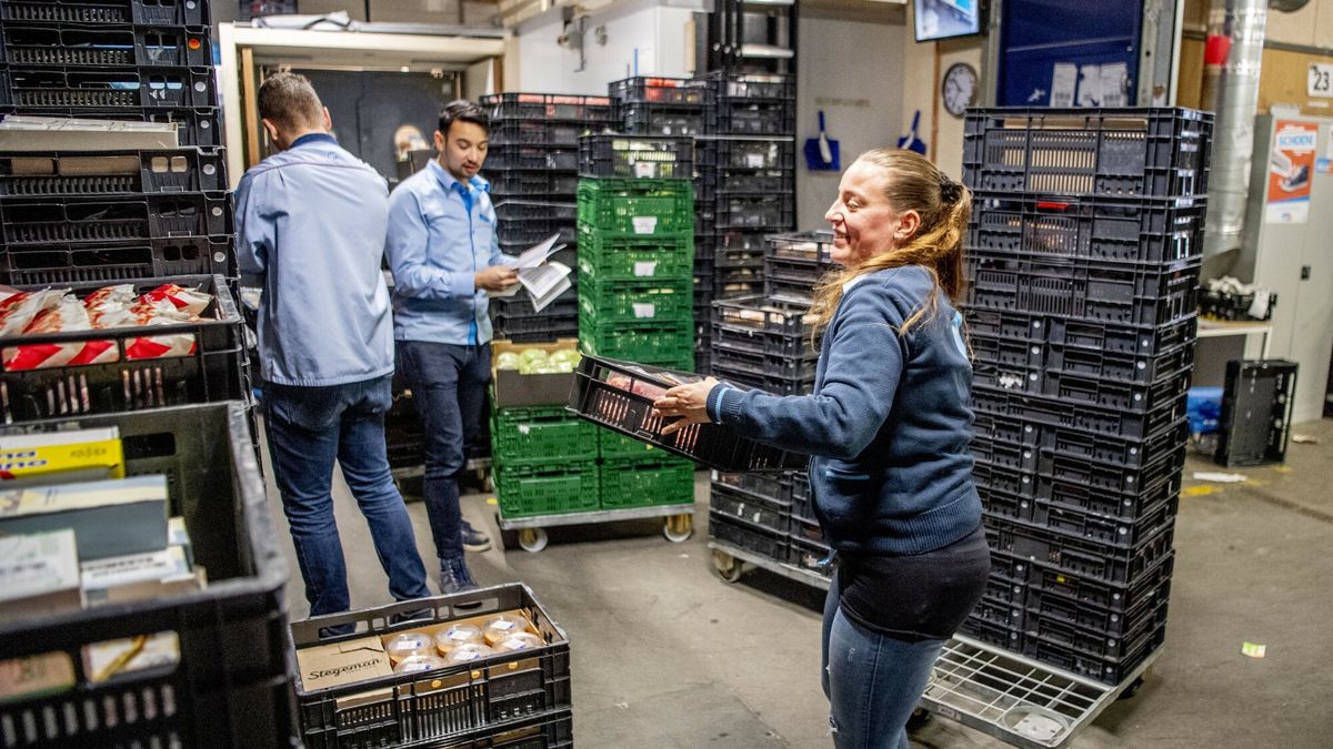 Koronawirus w Holandii
2020-03-16 11:37:33 sassenheim - lege schappen in de superkt toiletpapier aanvlullen van de lege vakken bij de albert heijn supermarkt ROBIN UTRECHT hamsteren inkopen angst  geen handen geven niet met geld betalen alleen pinnen waarschuwing corona  vrachtwagen  distributie centrum  zelfscan diefstal stelen politie kassa zelf betalen scan pin go pinnen pinpas vakkenvullen vakkenvuller werken werk aantal afrekenen belasting belastingen besteding boodschappen btw btw-verhoging budget duurder euro geld hogere huishoudens januari kassa kosten met nederland nederlander nederlandse negen prijs prijzen procent tarief uitgaven van verhoging A-merken, aankoopkracht, bank, bestedingsruimte, bestedingsvermogen, Betaal, betaal pas, bezuiniging, BUURTWINKEL, concerentie, concurrentievermogen, Consument, consumentenvertrouwen, Crisis, Detailhandel, Economie, Economisch, economisch proces, en, EUROCRISIS, Geld, geld halen, goedkoop, goedkoper, Groot, Groot winkelbedrijf, grootgrutter, Grootwarenhuis, grote, grote winkelzaak, Halen, handelswaar, ing, ing bank, Jumbo, jumbo winkelen lopen, kassa, kassa's, klanten, klantwinning, koopkrachtcijfer, kruidenier, levensmiddelen, Lopen, marketing, Marketing en Verkoop, marktaandeel, Oorlog, Pas, Pinnen, prijzenoorlog, prijzenslag, Proces, recessie, reclameborden, supermarkt, supermarkt economie, supermarkt oorlog, supermarktbedrijf, supermarkten, supermarktketen, supermarktoorlog, supermarktsector, Toekomst, verkoop, versobering, voedselverkoop, warenhuis, winkel, winkelbedrijf, Winkelen, winkelketen, winkelzaak, zelfbedieningswinkel, zelfbedieningszaak
ROBINUTRECHT