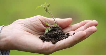 Walentynki dla Ziemi — zasiej miłość do planety