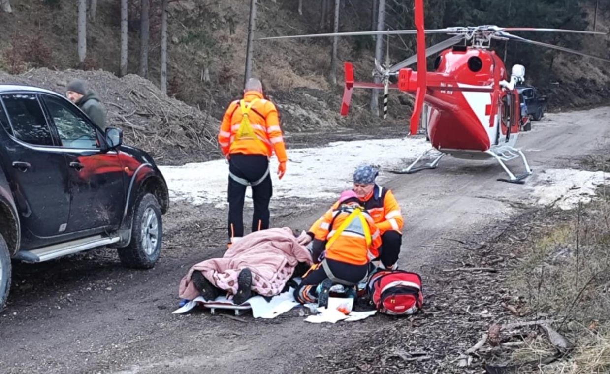 Alarm po sąsiedniej stronie. Niedźwiedź zaatakował fotoamatora