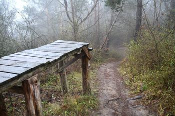 Gorzów: Wyniki sekcji 17-latka po tragicznym wypadku w lesie