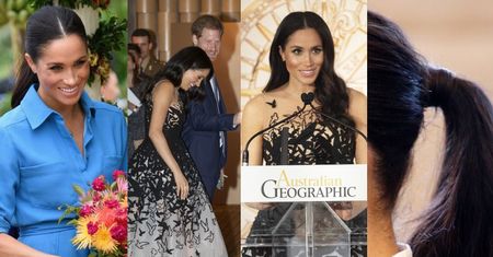 "Wyzwolona" Meghan nadal podbija Australię. Piękna? (ZDJĘCIA)