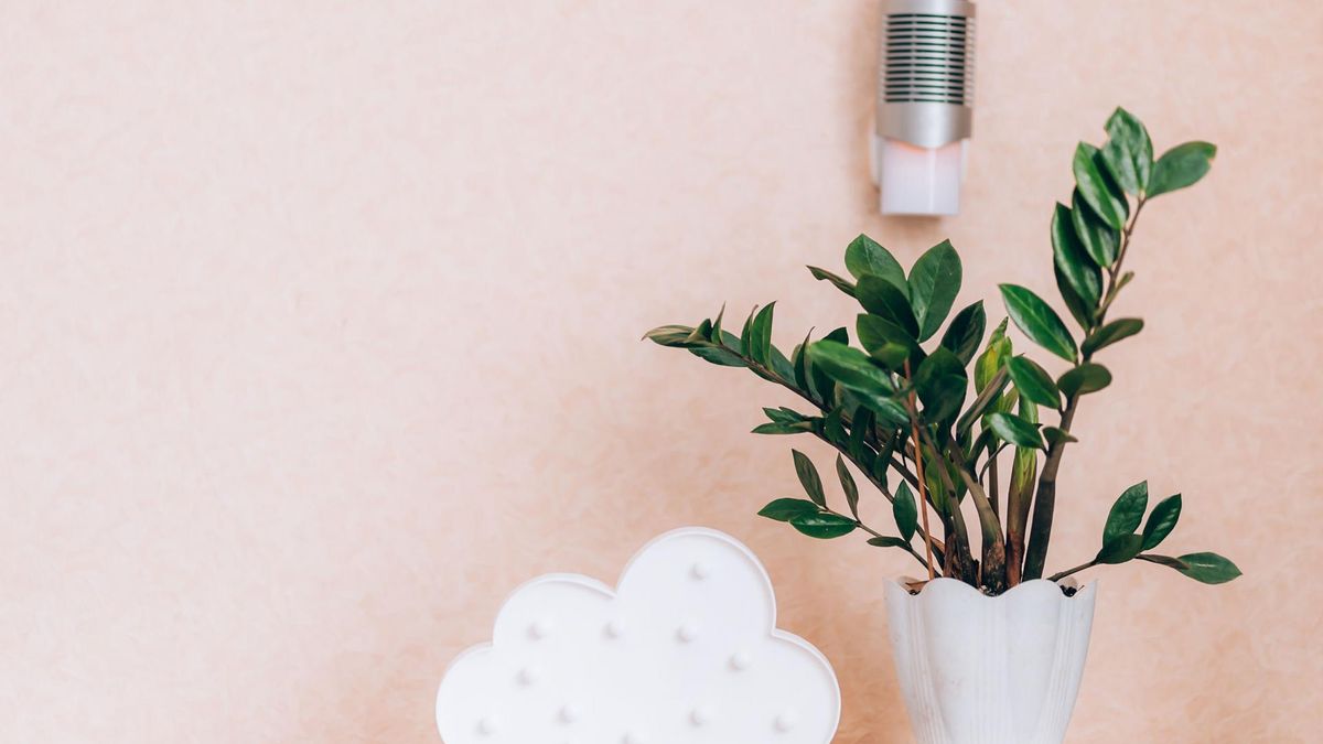 Cena jonizatorów powietrza waha się od 100 do nawet 1500 złotych.