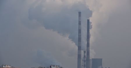 Krakowski smród. Radni zobaczyli wyrok dla hodowcy spod Łodzi