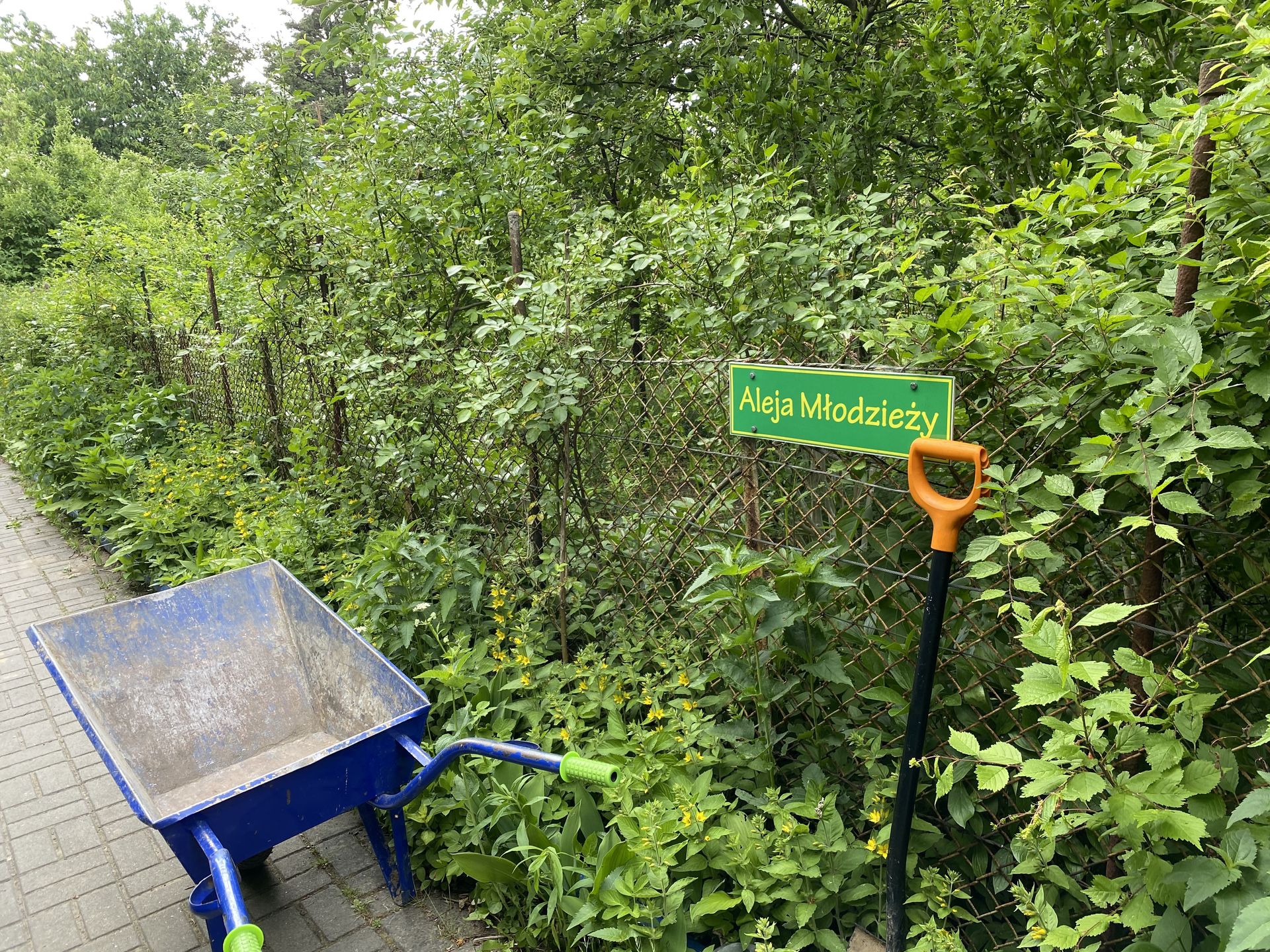 ROD Obrońców Pokoju