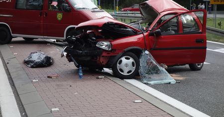 Śmiertelny wypadek w Rudzie Malenickiej (końskie)