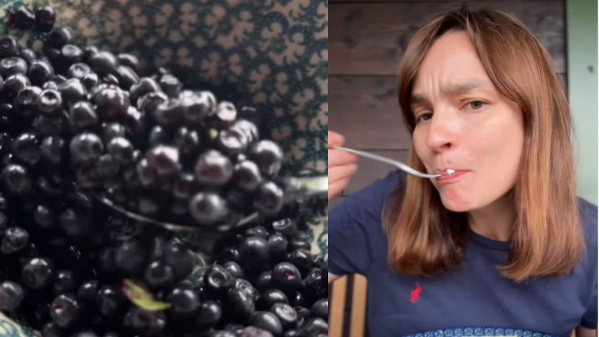 Pomysł na deser z jagodami leśnymi 