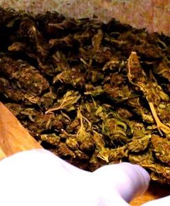 Niemal 200 gramów marihuany schował w zamrażarce