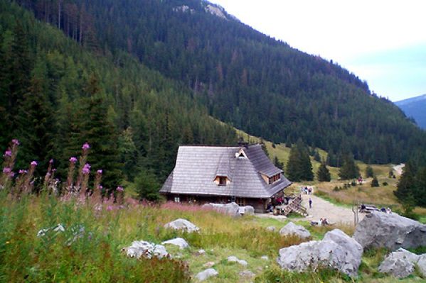 Obraz