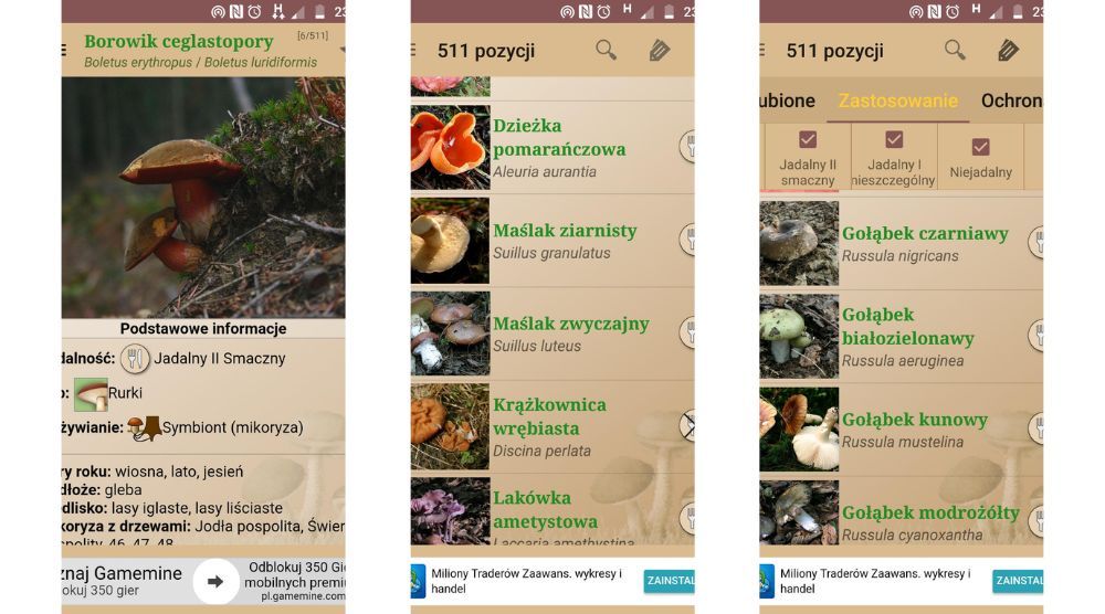 Atlas grzybów aplikacja do rozpoznawania grzybów