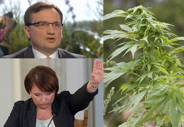 Sejm przyjął ustawę o medycznej marihuanie. Za 440 posłów, przeciw... KEMPA I ZIOBRO