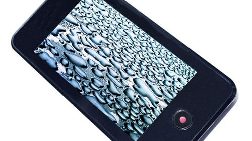 ANECA A-56 PMP z Chin 1