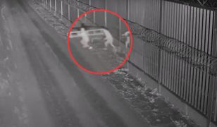 300 prób nielegalnego przekroczenia granicy. Nagrania z Podlasia