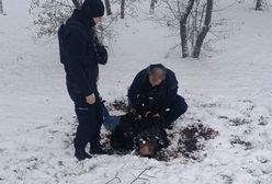 Maksymilian F. ukrywał się we wrocławskim zoo. Miał broń, nie miał kajdanek