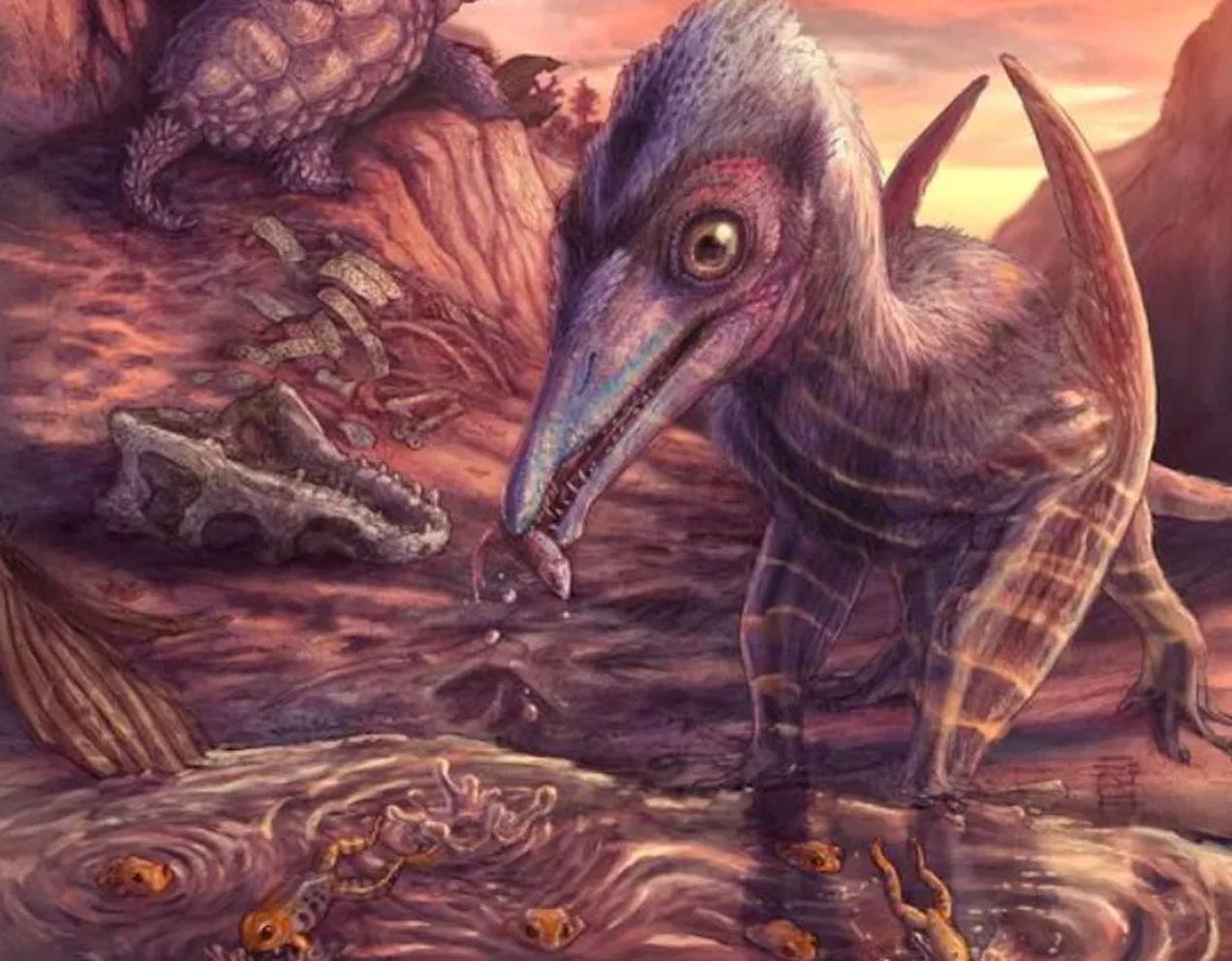Pterozaur, zdjęcie ilustracyjne