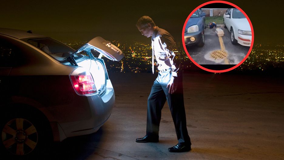 Nauczyciel znalazł w bagażniku małe kotki