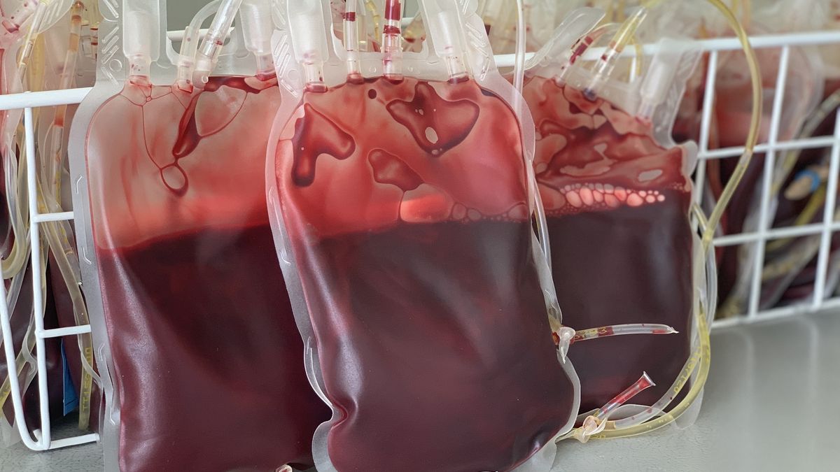 Blood container for transfusion.
Red blood cells.
Nadya Tkach
medical, transfusion, health, donor, cell, save, donation, storage, donate, plasma, aid, type, life, supply, bloody, background, charity, pack, white, clinic, isolated, help, transfuse, bank, give, health care, human, drip, emergency, sample, testing, treatment