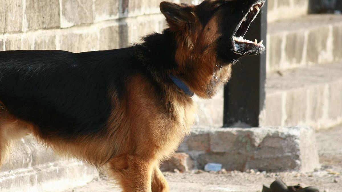 Zdjęcie ilustracyjne.