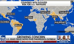 Ponad 7 tys. zakażeń wirusem chikungunya w Chinach. Ostrzeżenie polskiego MSZ