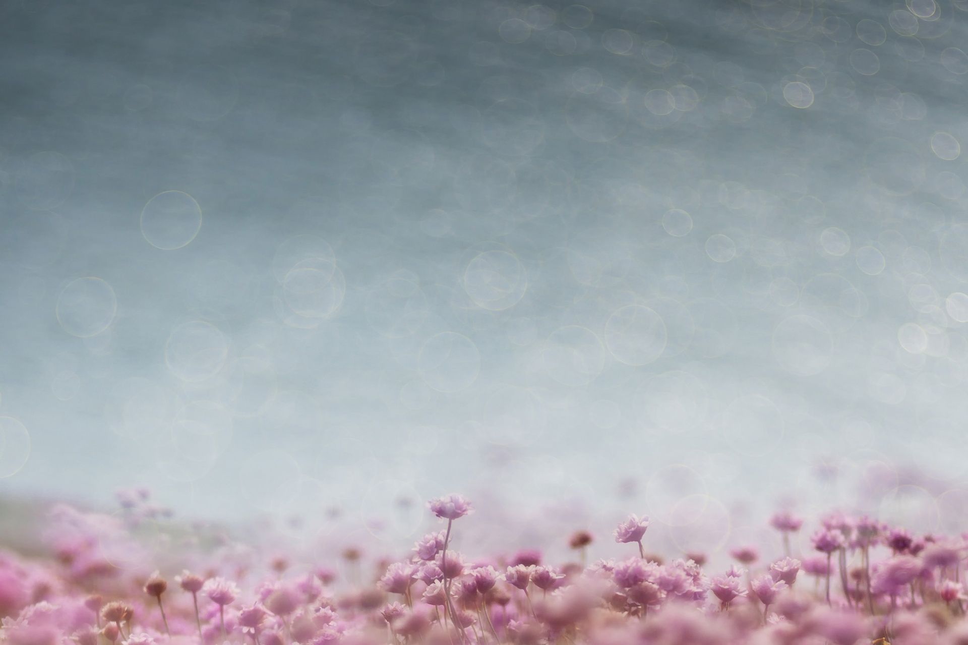 Zachwycająca natura Ziemi na zdjęciach z konkursu Nature Photographer of the Year 2015 4