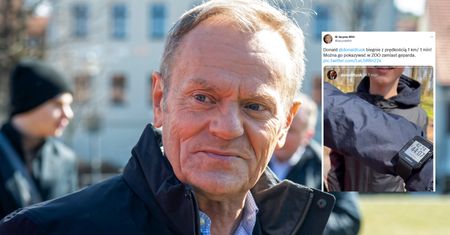 Radna PiS chciała wyśmiać Tuska. Sama zaliczyła wpadkę