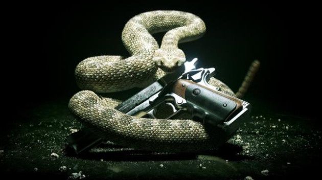 Hitman: Rozgrzeszenie gra popularność