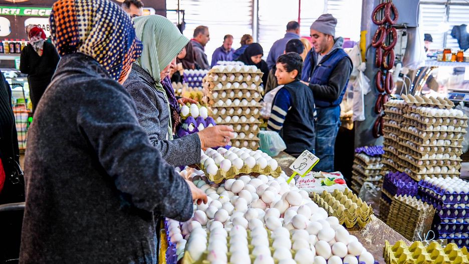 Na bułgarski rynek miało trafić 2,5 miliona jaj z Ukrainy. Hodowcy domagają się ujawnienia sieci dystrybucji tego towaru, nieobjętego europejskimi certyfikatami