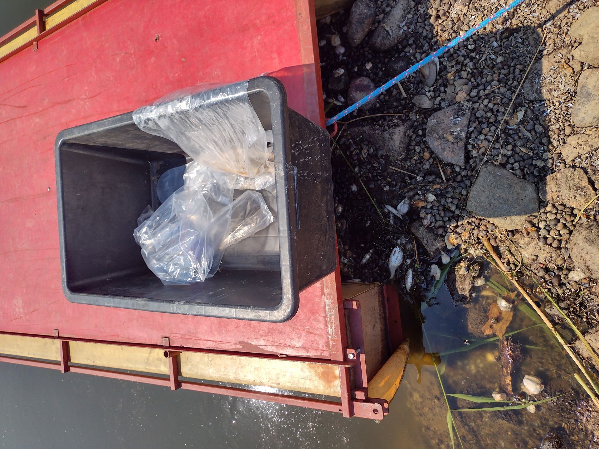 Ryby pobrane do badań przez Inspekcję Weterynaryjną leżały na pomoście, pod którym tłoczył się martwy narybek.