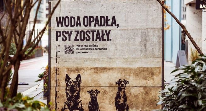 „Woda opadła, psy zostały” w kampanii pomocowej