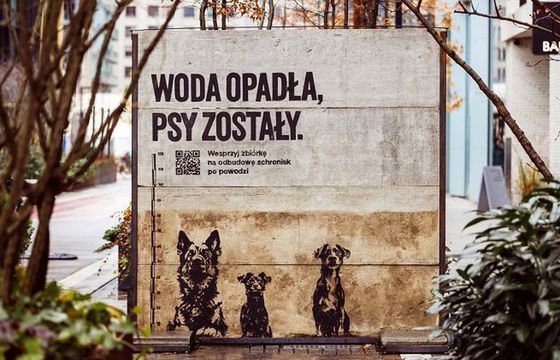 „Woda opadła, psy zostały” w kampanii pomocowej