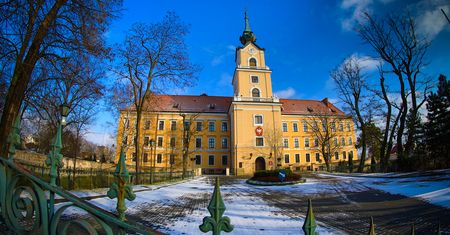 Pogoda w Rzeszowie. Prognoza na sobotę 10 stycznia. Silny mróz, wieczorem lekki śnieg