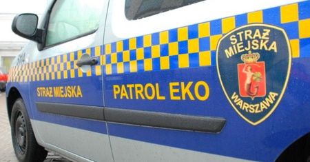 Warszawa. Nieżywy boa dusiciel w lesie na Bielanach. Uciekinier albo wyrzucona zabawka