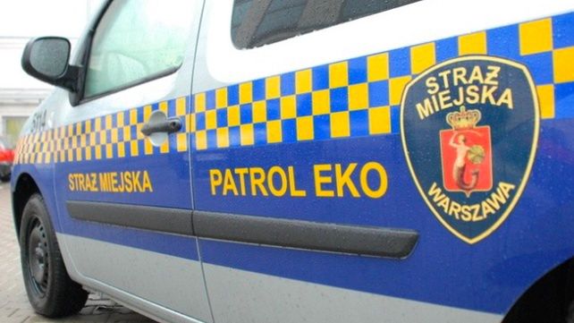 Warszawa. Straż miejska interweniowała w sprawie martwego boa dusiciela, znalezionego w lesie na Bielanach