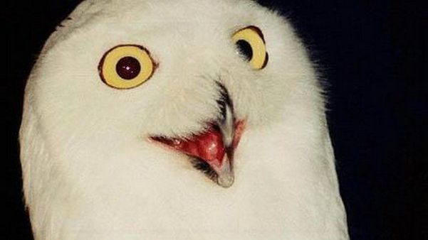 Kinect (podobno) działa lepiej 1