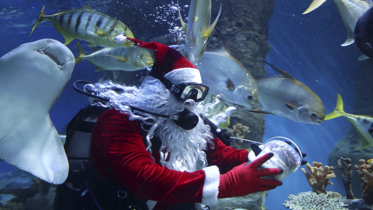 Zdjęcie dnia. W Rosji Święty Mikołaj rozdaje prezenty nawet pod wodą 1