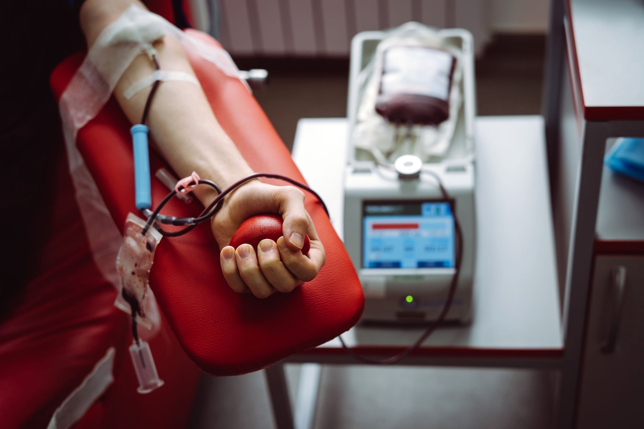 The hand of a man who donates blood. Male donor gives blood in a blood donation center
The hand of a man who donates blood. Male donor gives blood in a blood donation center
blood, test, donation, give, clinic, patient, hand, medicine, male, charity, laboratory, healthcare, blood donation, donor, hospital, care, transfusion, needle, arm, man, close-up, protective gloves, heart, squeeze, red, caucasian, science, life, protective, mobile, save, volunteer, plasma, biomedics, blood bag, activity, stress toy, bank, illness, therapy, adult, pump, supply, blood type