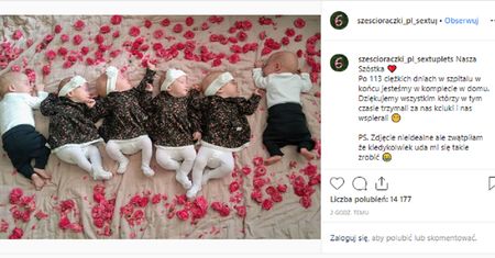 Sześcioraczki z Krakowa. Klaudia Marzec wrzuciła urocze zdjęcie dzieci: “Zwątpiłam, że kiedykolwiek uda mi się takie zrobić”