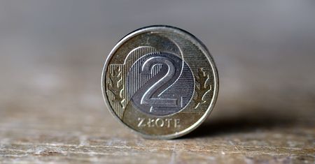 Dwuzłotówka warta 2,5 tys. zł? To możliwe