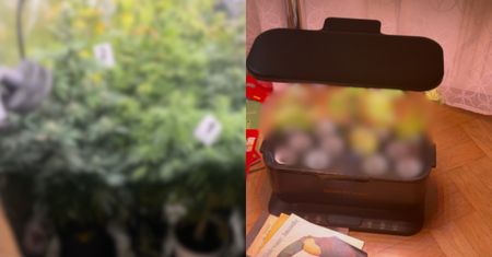 Weszli do mieszkania w stolicy. Ogromne odkrycie. "Lubię roślinki"
