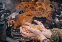 To już przesądzone. Ukraińskie zboże znów będzie płynąć przez Polskę