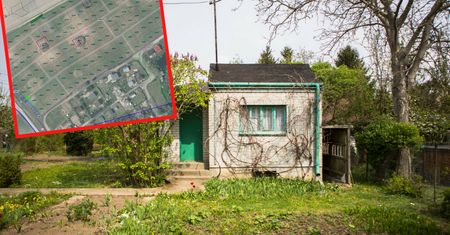 Ogródki działkowe powracają. Po latach wyburzania miasta znów chcą je budować