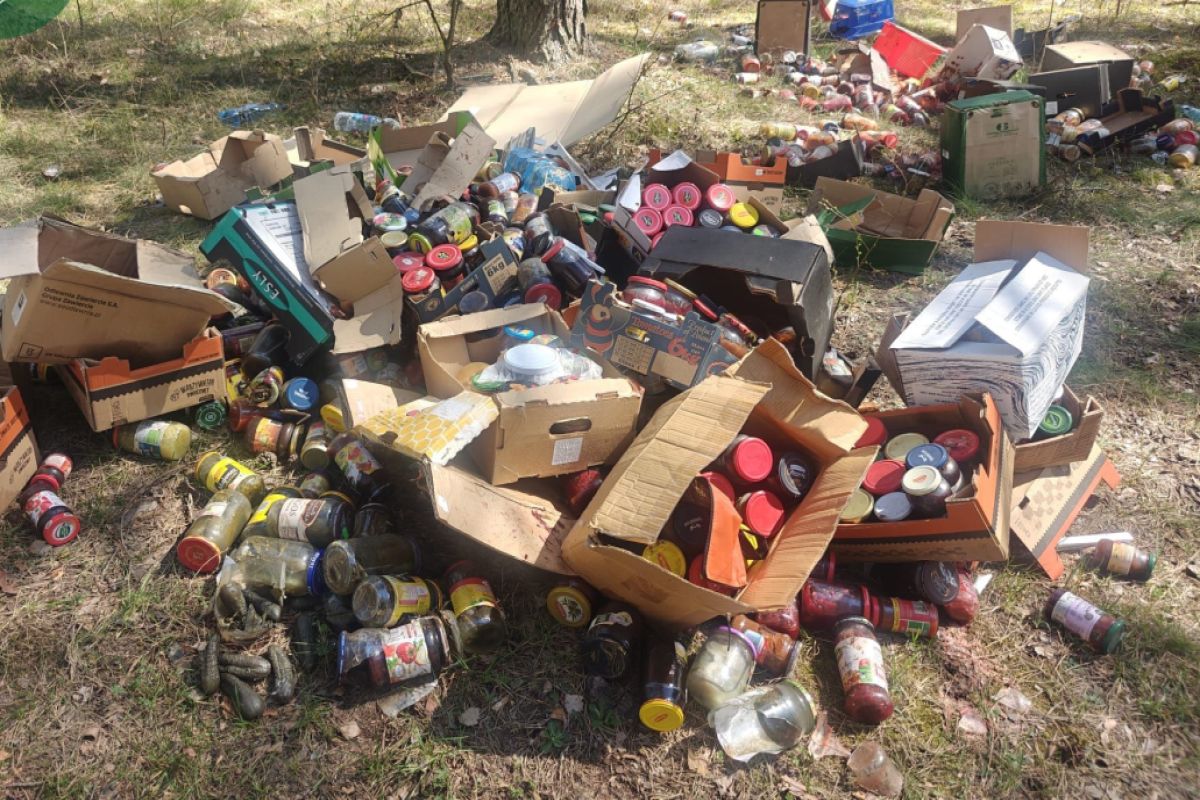 "To nie spiżarnia". Leśniczy znalazł je wśród drzew