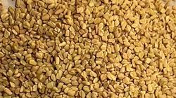 Co potrafi kozieradka? Łyżeczka dziennie może zmienić więcej niż myślisz