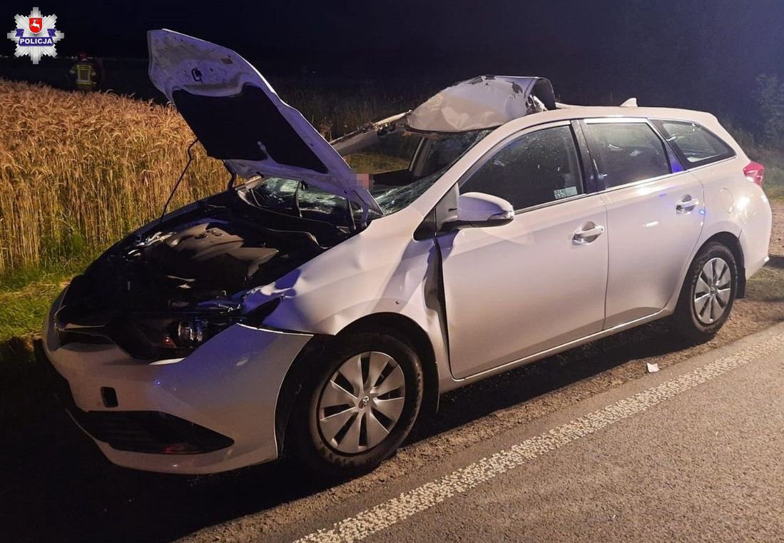 Uwaga na dzikie zwierzęta. Policja apeluje do kierowców