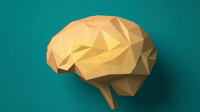 Międzymózgowie znajduje się w centralnej części mózgowia.