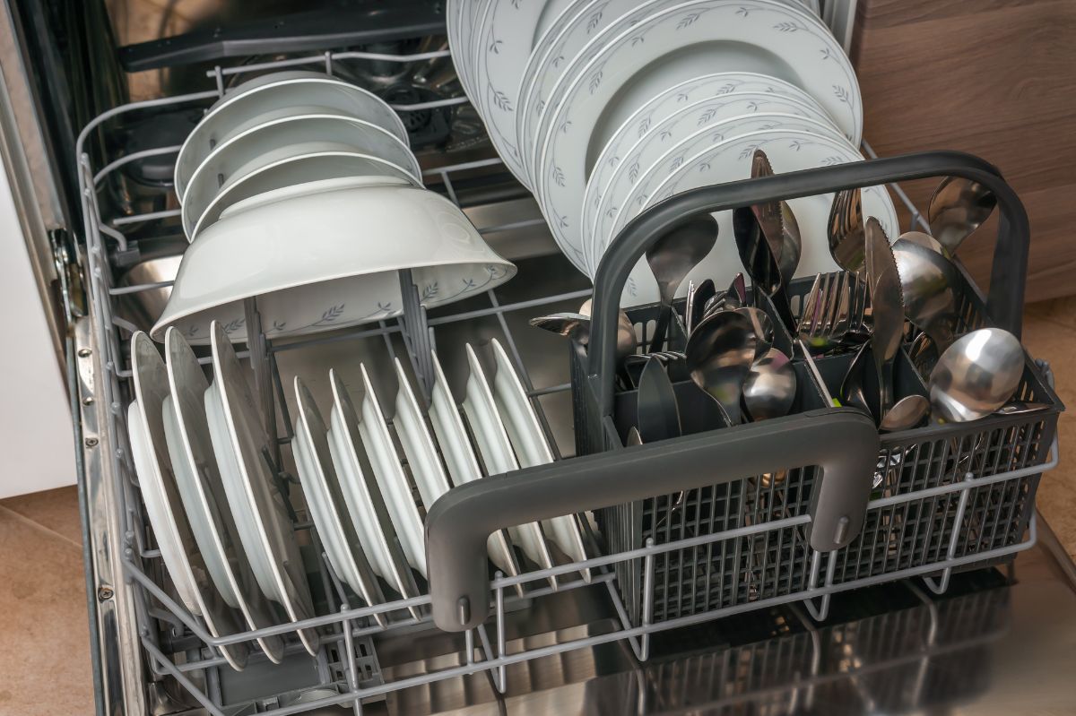 The smell from the dishwasher is a common problem.