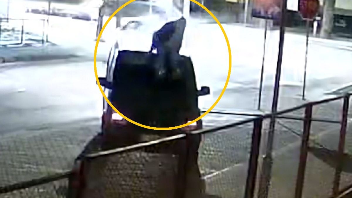 Jechał busem z "intruzem" na dachu