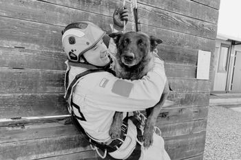 Psi ratownik nie żyje. Dragon miał 6 lat. Przegrał walkę z chorobą