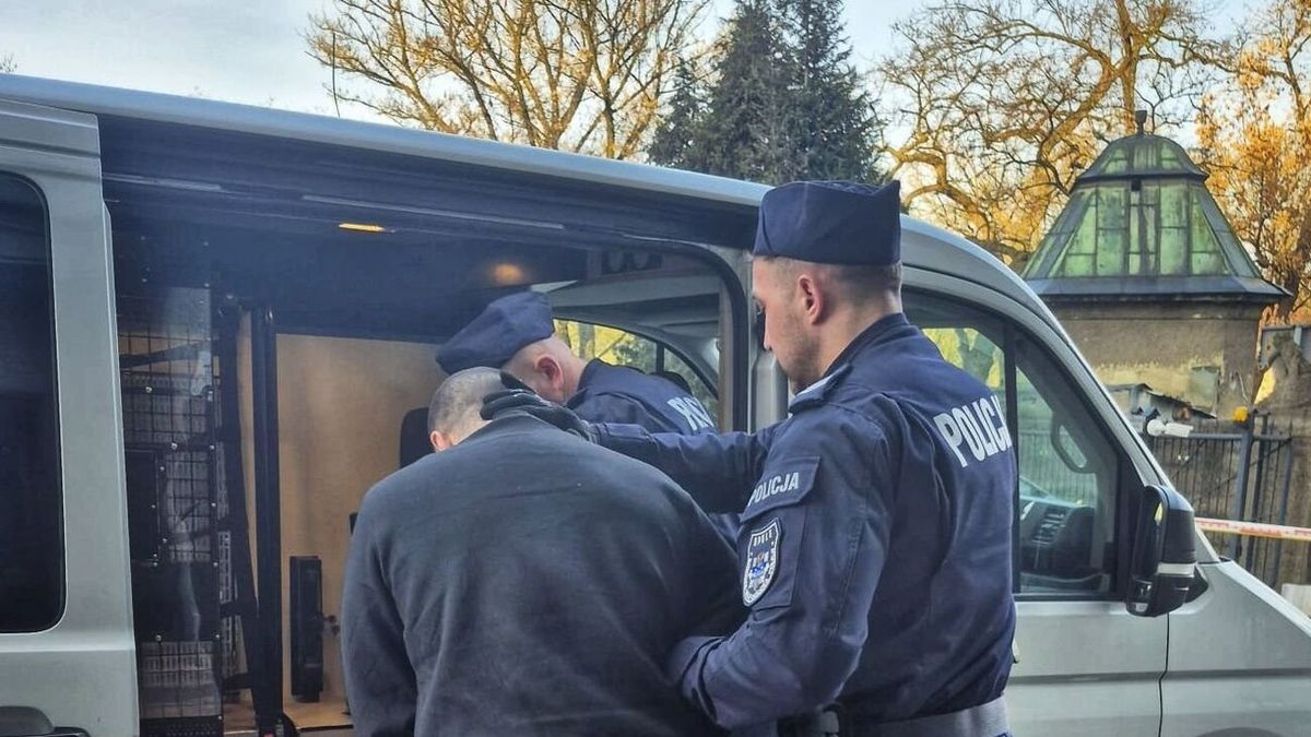 policja
