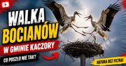 Walki bocianów białych o gniazdo w Dziembowie. Niezwykłe nagranie [WIDEO]