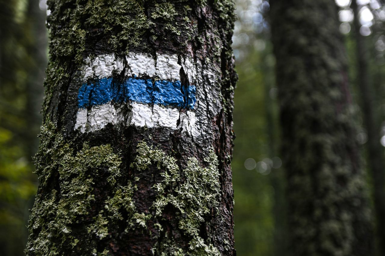 Magurski Park Narodowy: odcinek niebieskiego szlaku wiodący z Ożennej w kierunku granicy został zamknięty do odwołania